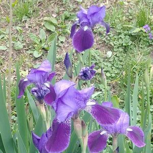 Meet your Posher, Jill